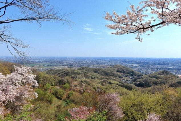 「Trail Walk・埼玉」 お花見トレイルウォーク　鐘撞堂山
