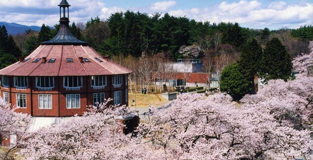 【桜・見ごろ】清春芸術村の桜群