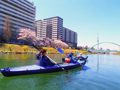 桜お花見カヤック満喫クルーズ　東京水路・運河 カヌー体験
