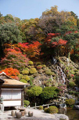 櫻井家住宅・日本庭園の紅葉