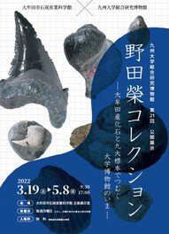 野田榮コレクション－大牟田産化石と九大標本でつむぐ大学博物館のいま－
