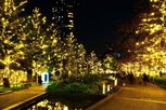 東京ミッドタウン　MIDTOWN CHRISTMAS (ミッドタウン・クリスマス)2023