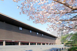 熊谷桜が春の国立劇場を彩る