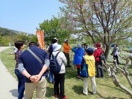 淡路島国営明石海峡公園　公園ボランティアとゆく　フラワーガイドツアー