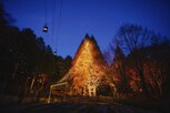園内にたたずむ高さ25mのメタセコイアが、約1600灯の電球でクリスマスツリーへとドレスアップ
