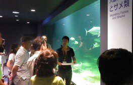 京都大学白浜水族館　研究者と飼育係のこだわり解説ツアー＜中止となりました＞