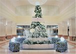 京王プラザホテル クリスマスツリー＆イルミネーション 2023