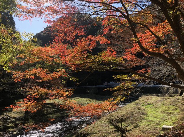 滝ノ谷不動峡の紅葉