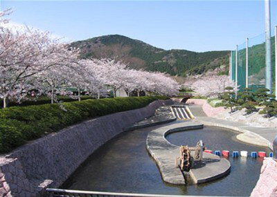 滝頭公園の桜