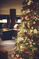 ストリングスホテル東京インターコンチネンタル ホワイトスパークリングクリスマス イルミネーション