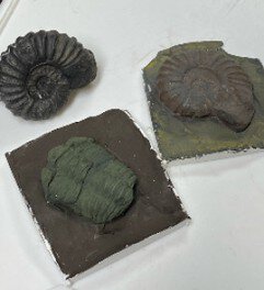 埼玉県立松山女子高校地学部 公開講座「化石のレプリカを作ろう！」