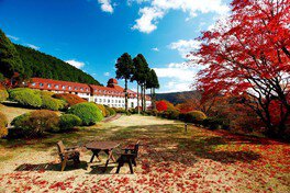 小田急 山のホテルの紅葉