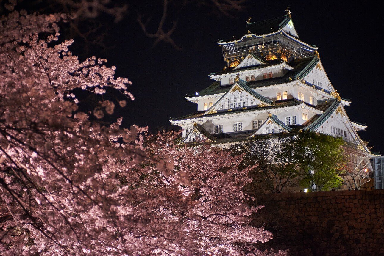 大阪城公園の桜 桜名所 お花見21 ウォーカープラス