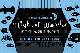 夏の特別イベント「Night of Wonder(ナイト オブ ワンダー) 〜夜の不思議の水族園〜」
