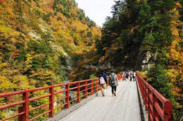 峡谷が色とりどりの紅葉に彩られる