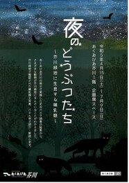 企画展「夜のどうぶつたち～芥川緑地に生息する哺乳類～」