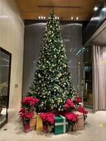 シェラトン都ホテル東京 クリスマスイルミネーション