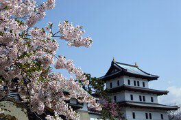 城郭と桜のコラボレーション