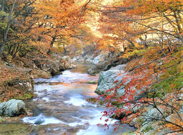 三依渓流の紅葉