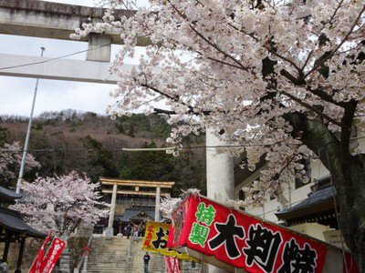 信夫山公園 桜まつり