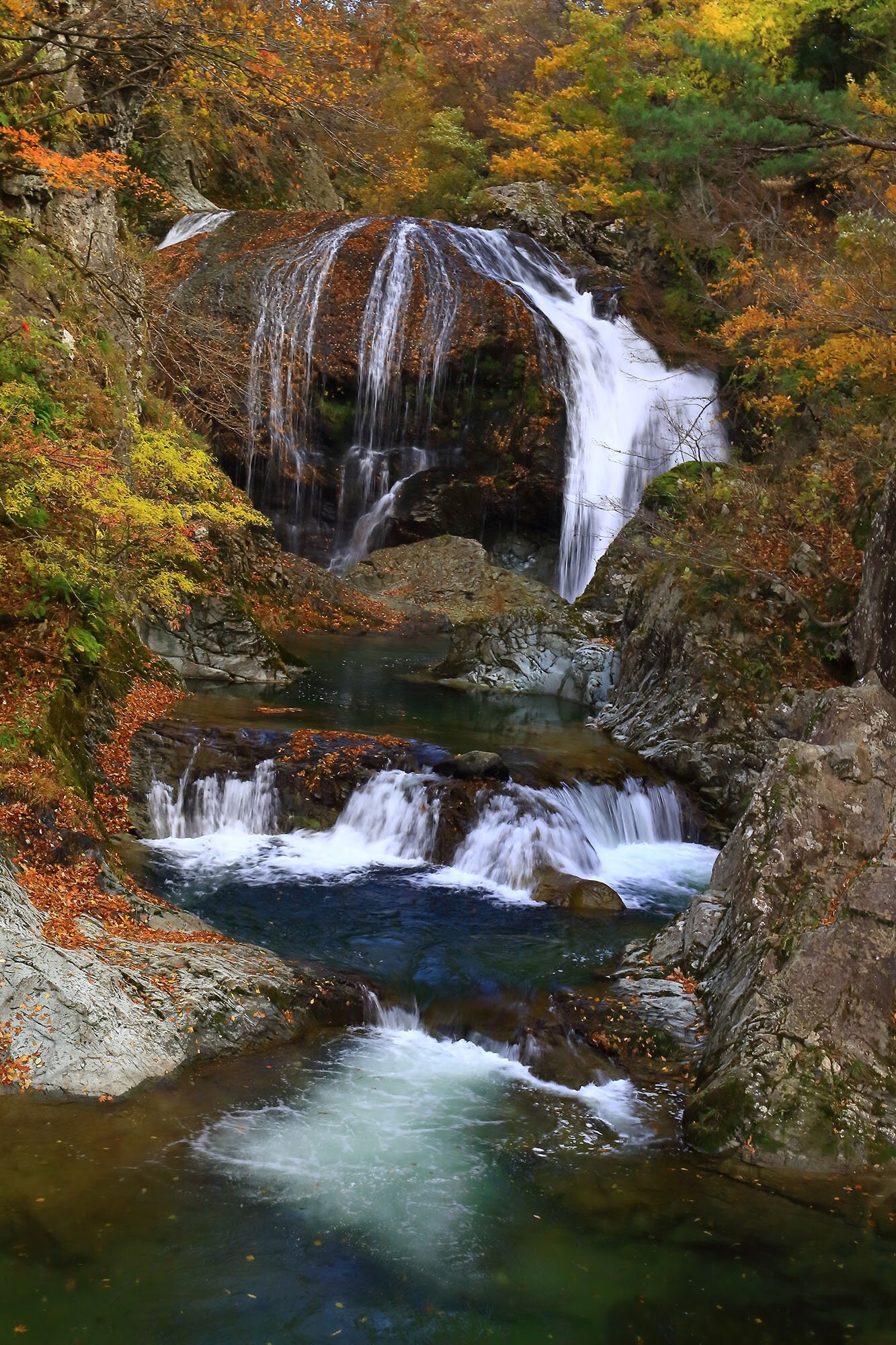 大滝公園の紅葉(山形県) ｜紅葉名所2024
