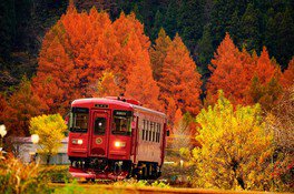長良川鉄道の紅葉