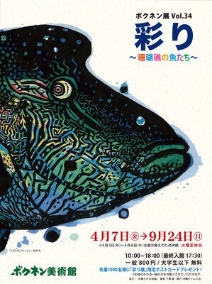ボクネン展Vol.34 彩り〜珊瑚礁の魚たち〜