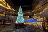 Tokyo Opera City Illumination2023-2024 (トウキョウ・オペラ・シティ・イルミネーション2023-2024)