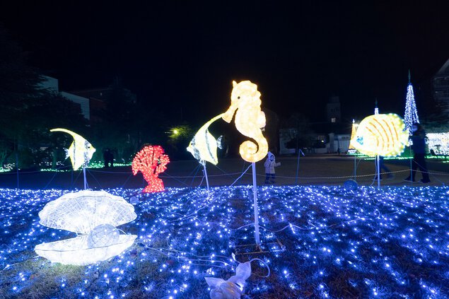 天理市光の祭典2023 田井庄池公園