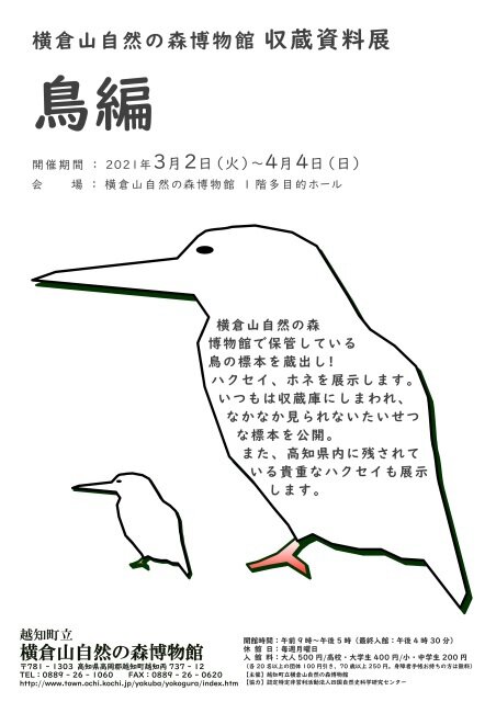 「横倉山自然の森博物館　収蔵資料展－鳥編－」