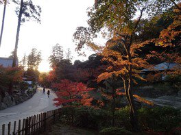 円覚寺境内の紅葉