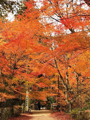 長寿寺(湖南三山)の紅葉