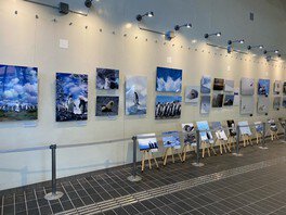 中村惠美写真展「RING OF LIFE」－北極、南極の動物達の“命”が、今、ここで1つに－