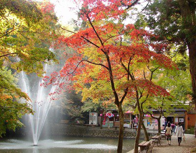 加茂山公園の紅葉
