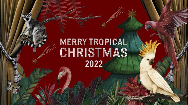 MERRY TROPICAL CHRISTMAS 2022 (メリー トロピカル クリスマス2022) 福岡三越