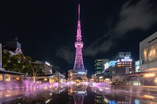 NAKED SAKURA TOWER 2024 (ネイキッド サクラ タワー2024)
