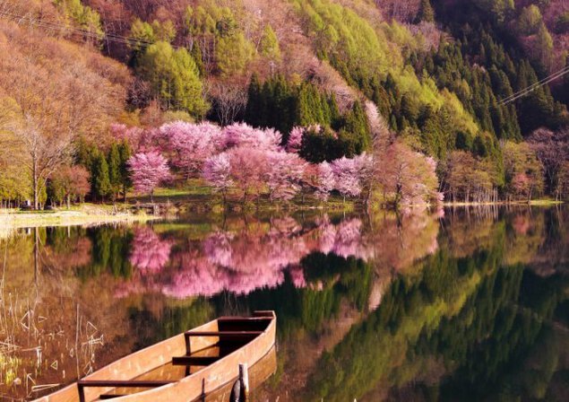黄金の鐘伝説の中綱湖、ボヤージャーカヌーで夜桜鑑賞と星空（曇りの場合「夜」）の湖面散歩
