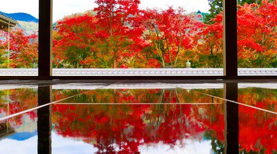 宝徳寺の紅葉