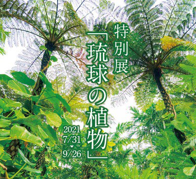 特別展 『琉球の植物』
