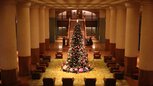 ホテルオークラ京都 ウインターイルミネーション・クリスマスツリー