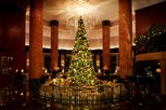 ウェスティンホテル東京　ウェスティン クリスマス 2023