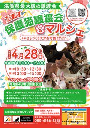 百町保護猫譲渡会＆マルシェ（4月）