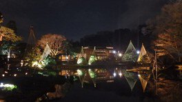肥後細川庭園　改名5周年記念「春の特別ライトアップ」