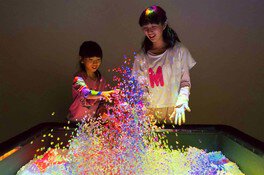魔法の美術館 -光と遊ぶ超体験型ミュージアム