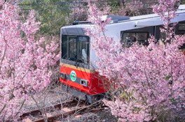 大橋史明 写真展「絶景!! 登山鉄道の四季」
