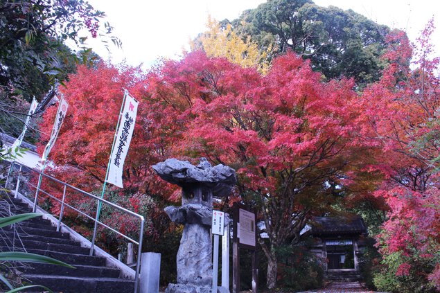 円興寺の紅葉