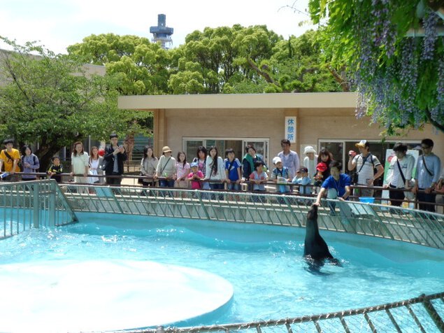 姫路市立動物園　ゴールデンウィークイベント＜中止となりました＞