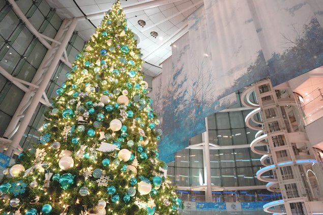 HANEDA Christmas 2023(羽田クリスマス2023) 羽田空港 第1・第2ターミナル