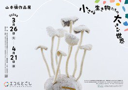 山本彌作品展「小さな生き物たちの大きな世界」