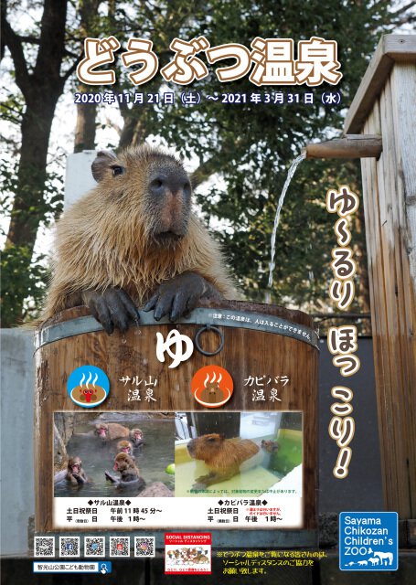 智光山公園こども動物園　どうぶつ温泉